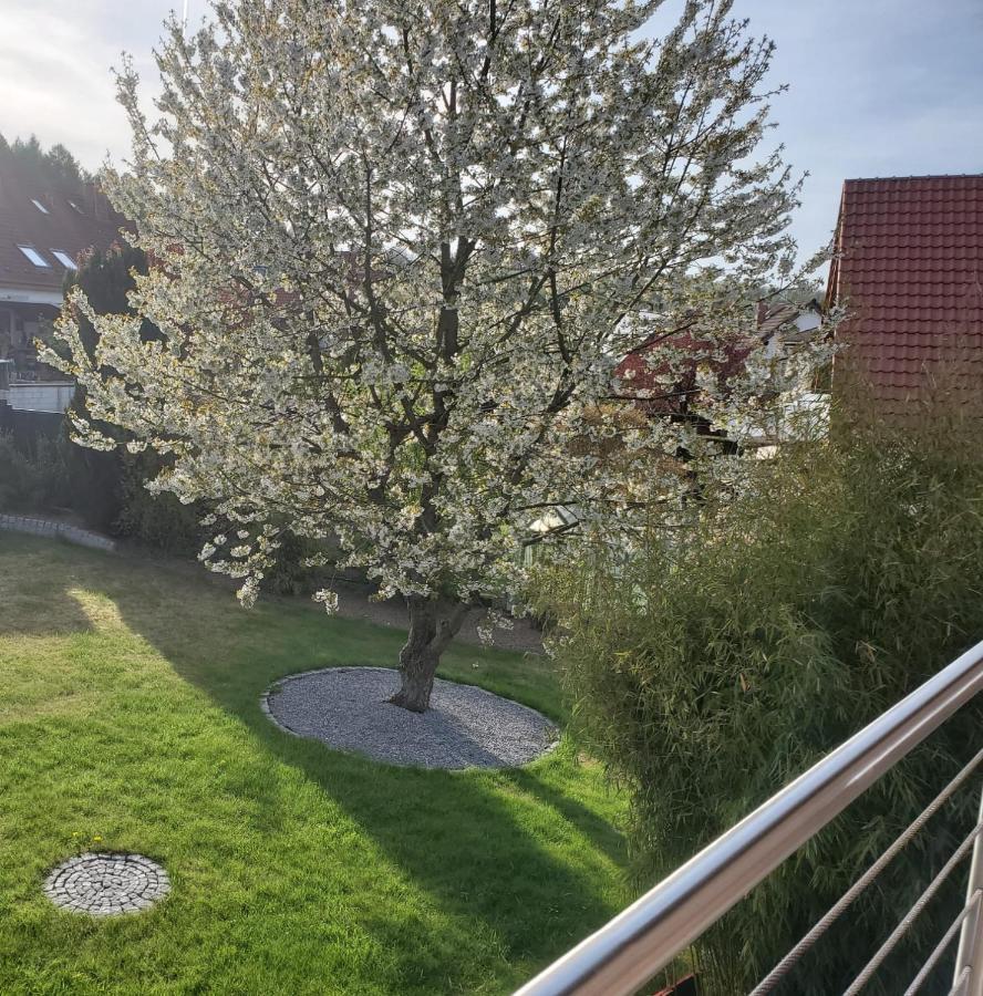 Ferienwohnung Froese Altenbeken Exterior photo
